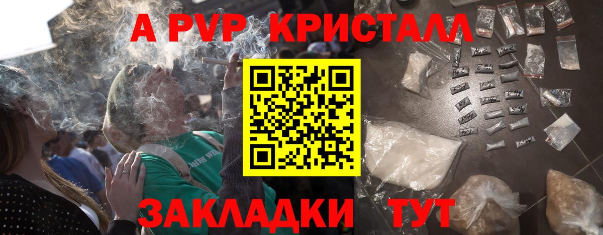 Alfa_PVP СК Таганрог