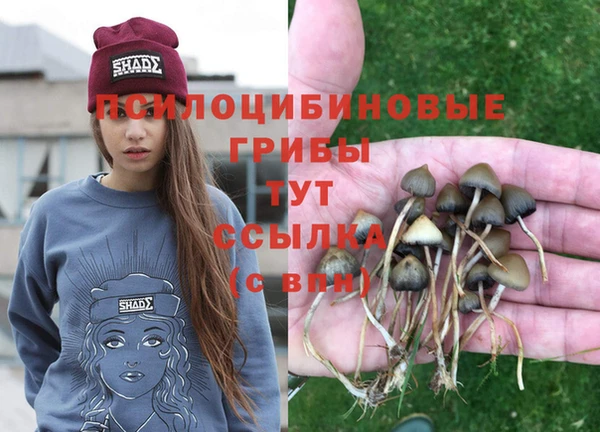прущая мука Абинск