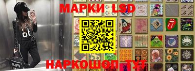 прущие грибы Обь