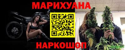 прущие грибы Обь