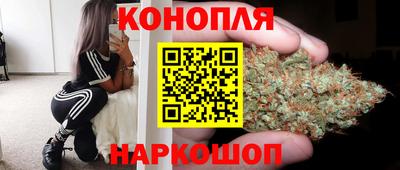 прущие грибы Обь
