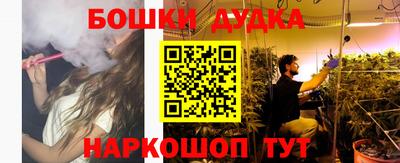 прущие грибы Обь