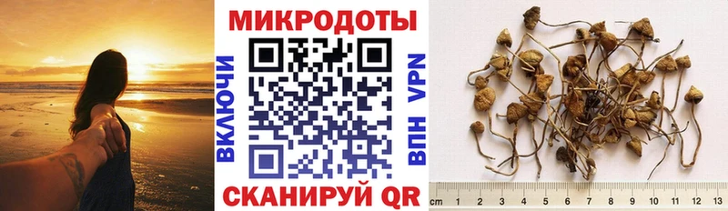 Псилоцибиновые грибы мухоморы  Таганрог 